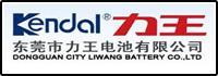 東莞(guan)市(shi)力王(wang)電池有(you)限公(gong)司